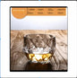 Whiskey Glass Crystal Cup