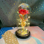 LED Glass Dome Faux Gold Foil Rose Eternal Flower