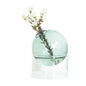 Hydroponic Glass Vase
